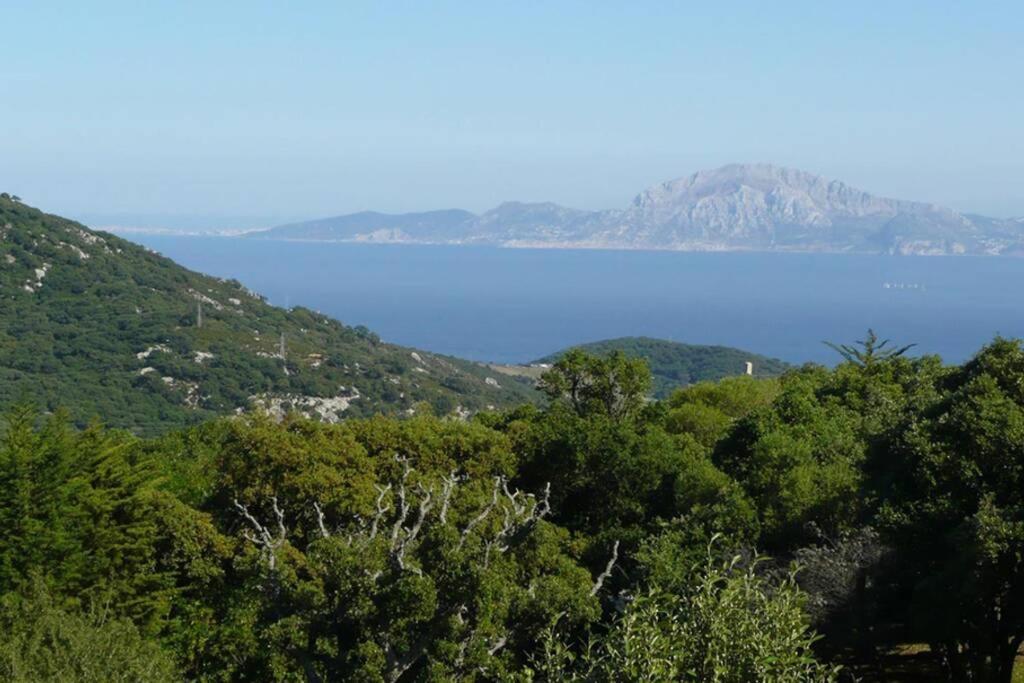 Villa タリファ エクステリア 写真